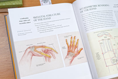 Dynamic Human Anatomy