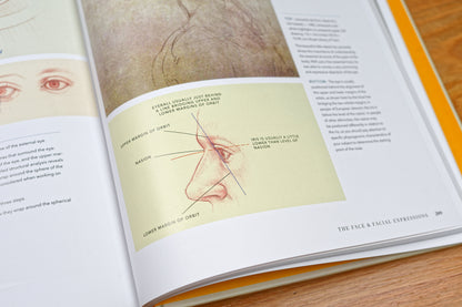 Dynamic Human Anatomy