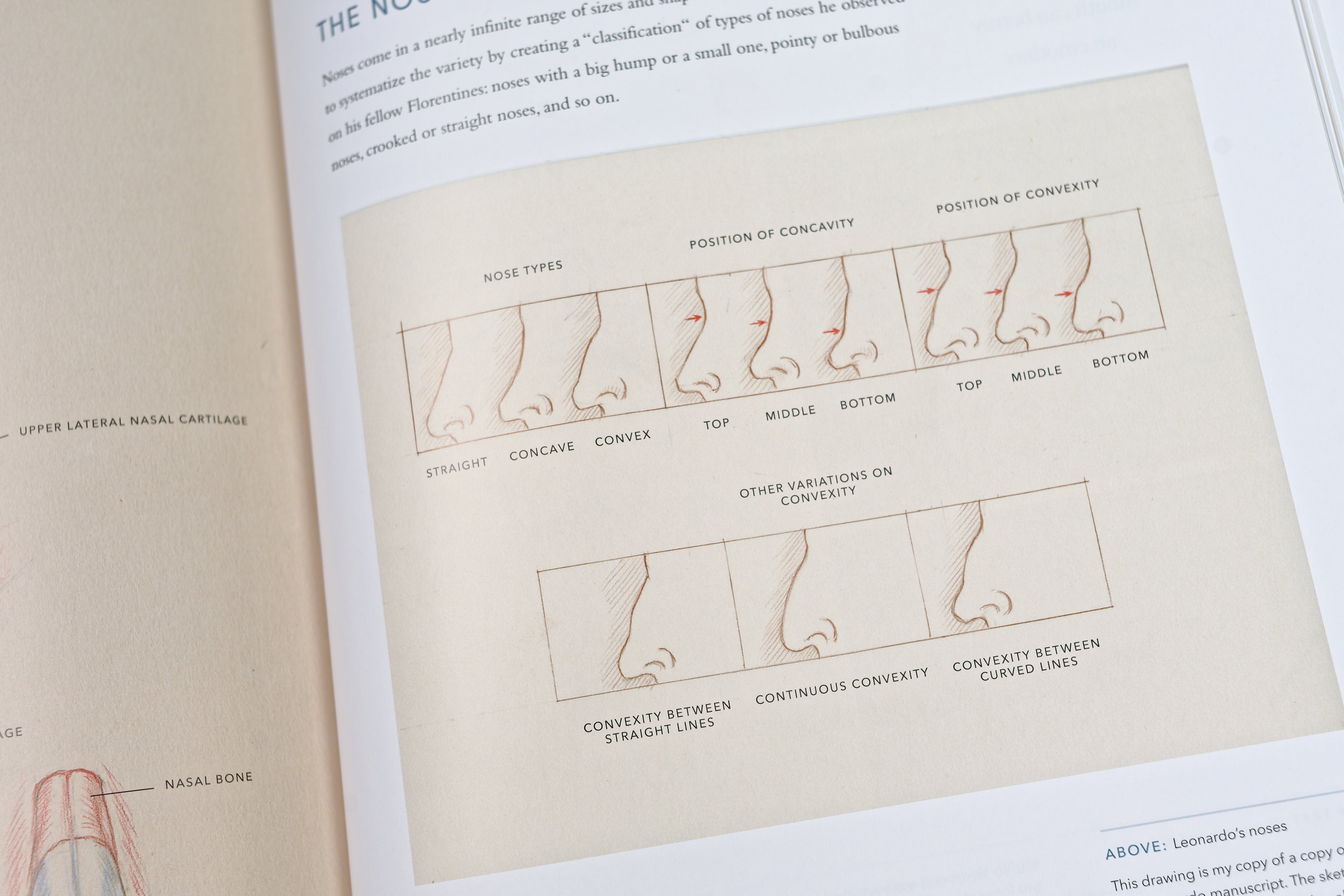 Dynamic Human Anatomy