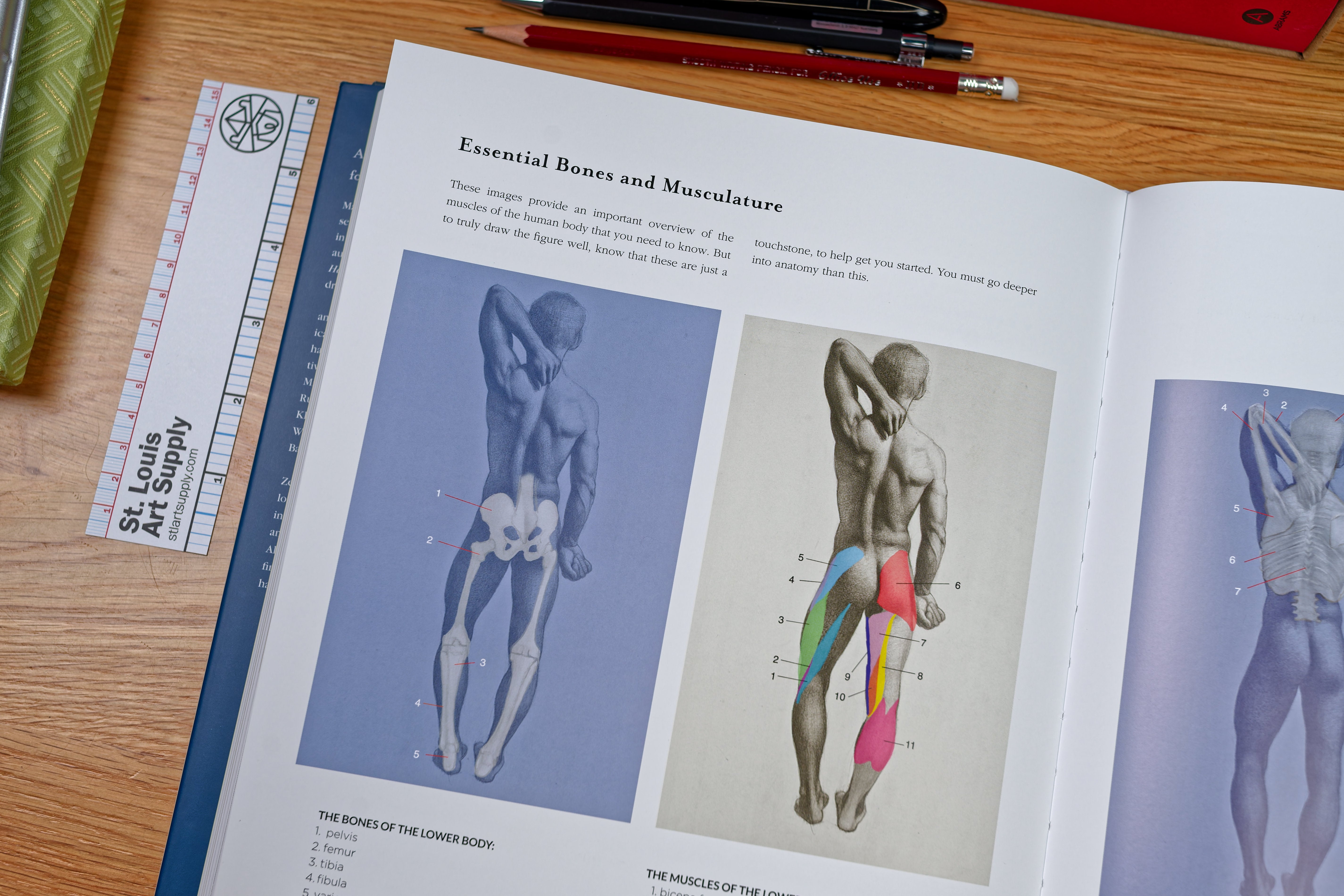 The Figurative Artist's Handbook