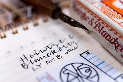 Heintze & Blanckertz LY695-8 Pen Nib (Vintage)
