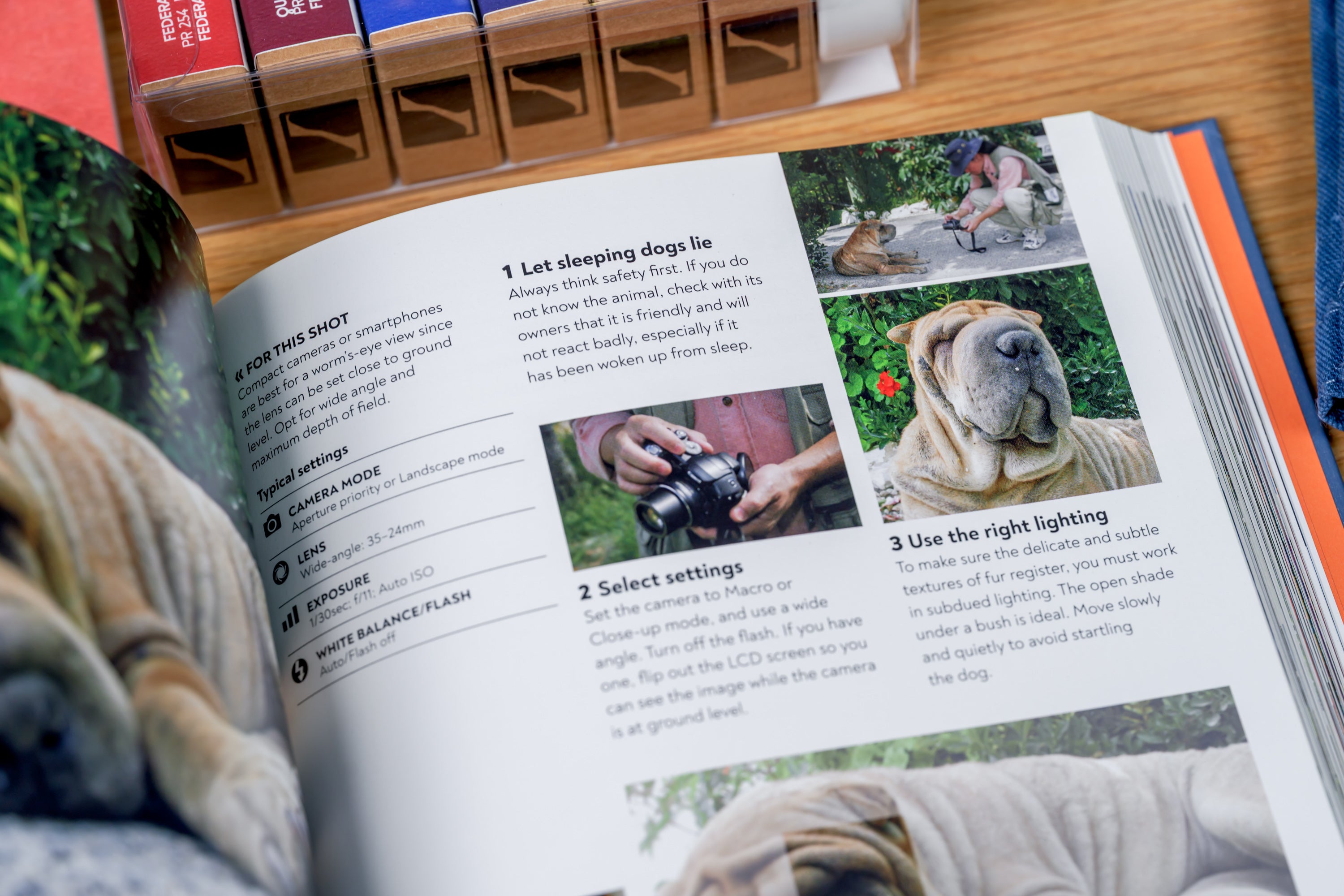 How to Photograph Absolutely Everything