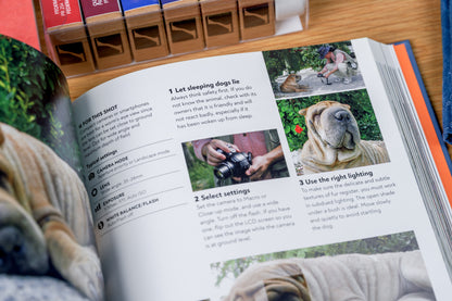 How to Photograph Absolutely Everything