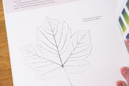 The Kew Book of Botanical Illustration