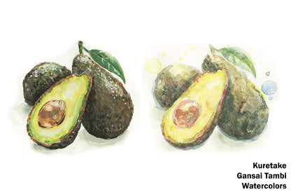 Gansai Tambi Watercolors, Classic Set of 12