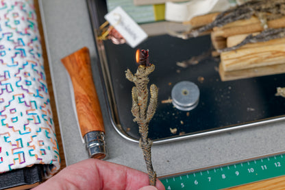 Palo Santo + Palma Dulce Bundle