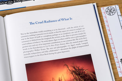 The Mindful Photographer