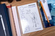 Morpho Anatomy Handbooks: Mammals