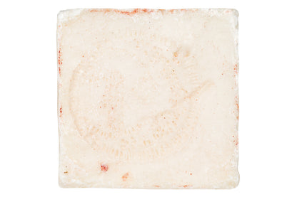 "The Ostrich" Nabulsi Soap Bar