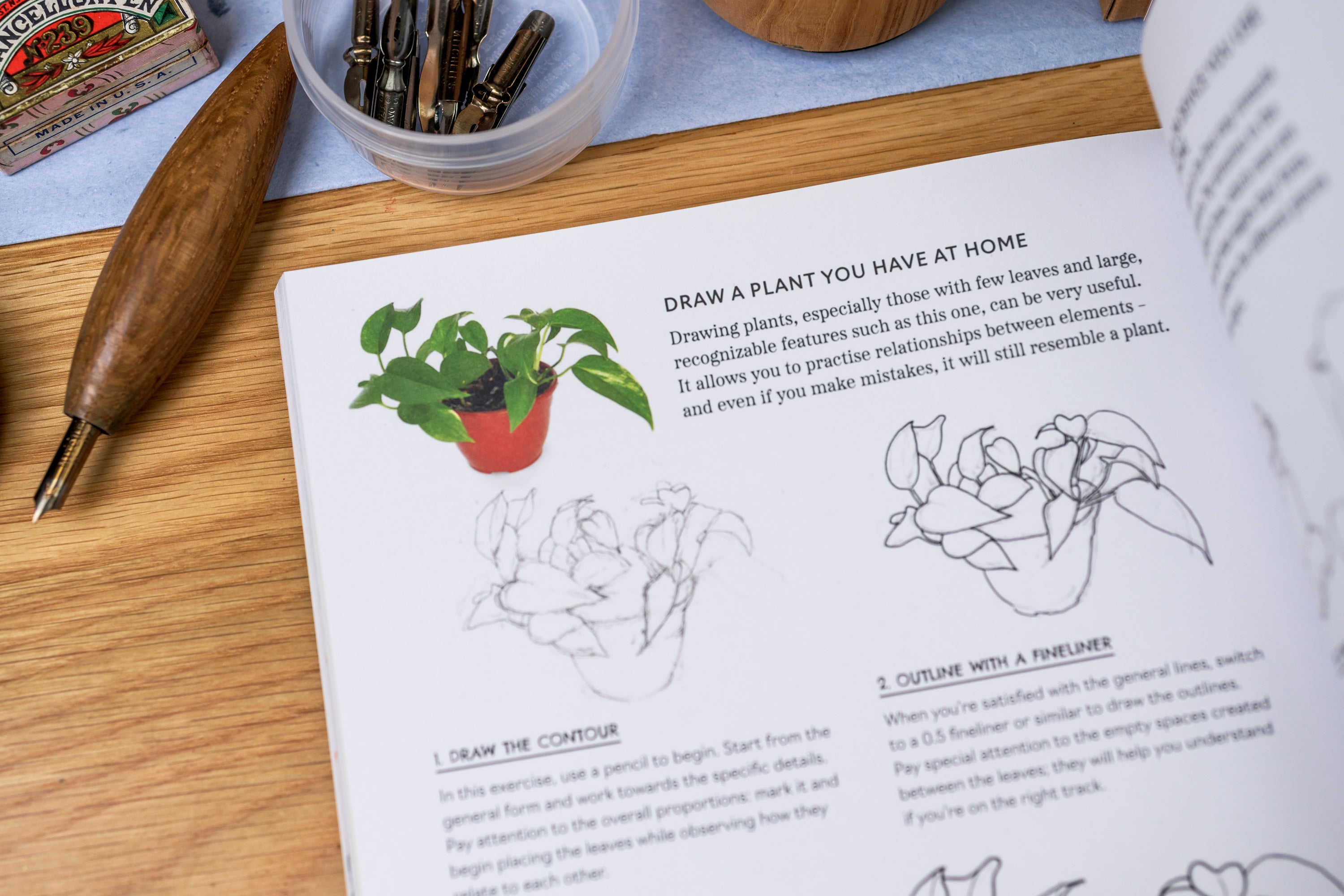 Pen and Ink Drawing Techniques