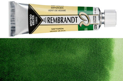 Rembrandt Watercolor, 10 mL, #623 Sap Green