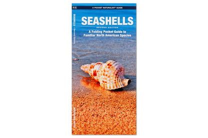 Pocket Naturalist: Seashells