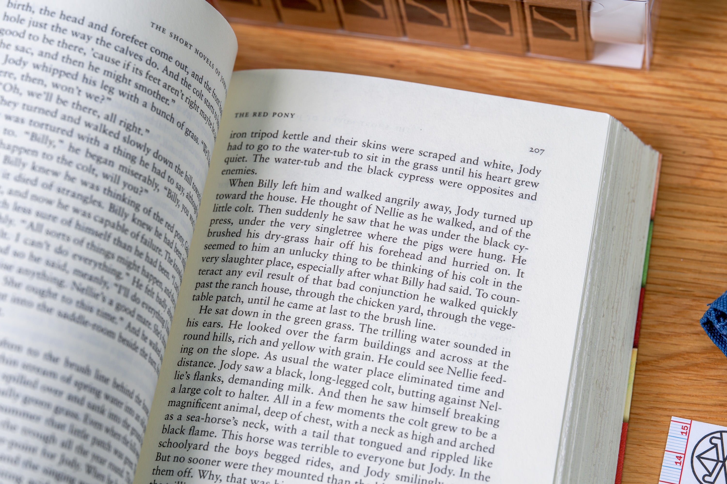 The Short Novels of John Steinbeck