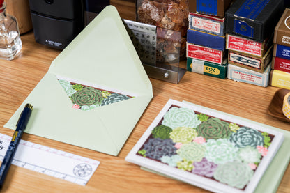 Succulents Blank Card Set