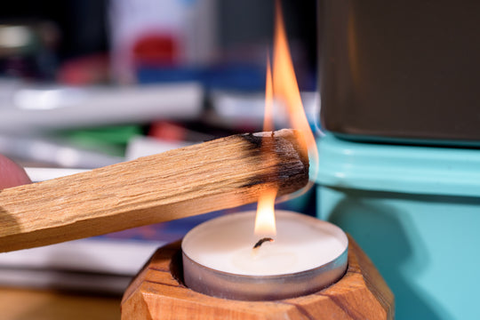 Ecuadorian Palo Santo, Box of 8