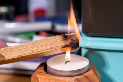 Palo Santo Starter Set, Glossy Black
