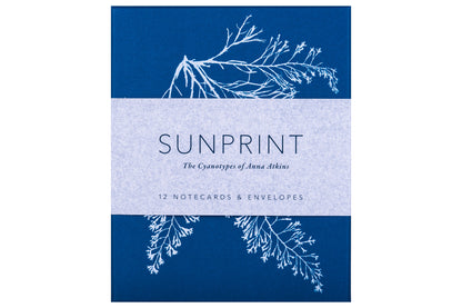 Sunprint Notecards