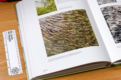 The Intentional Thread