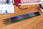 Tintoretto Detail Brushes, Set of 5