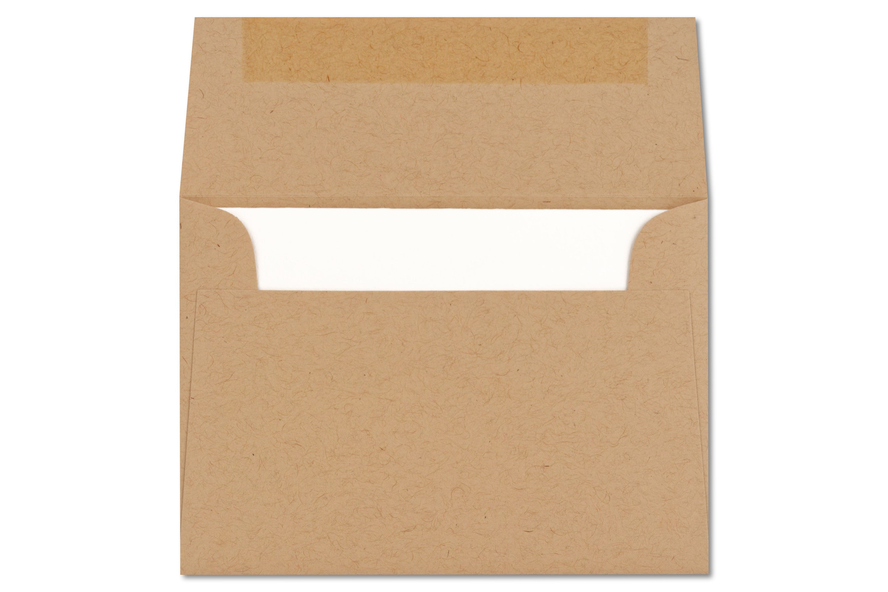 Watercolor Greeting Cards (6 Cards + 6 Envelopes)