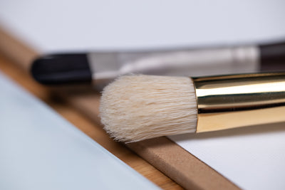 Raphaël D-Brushes for Oil and Acrylic