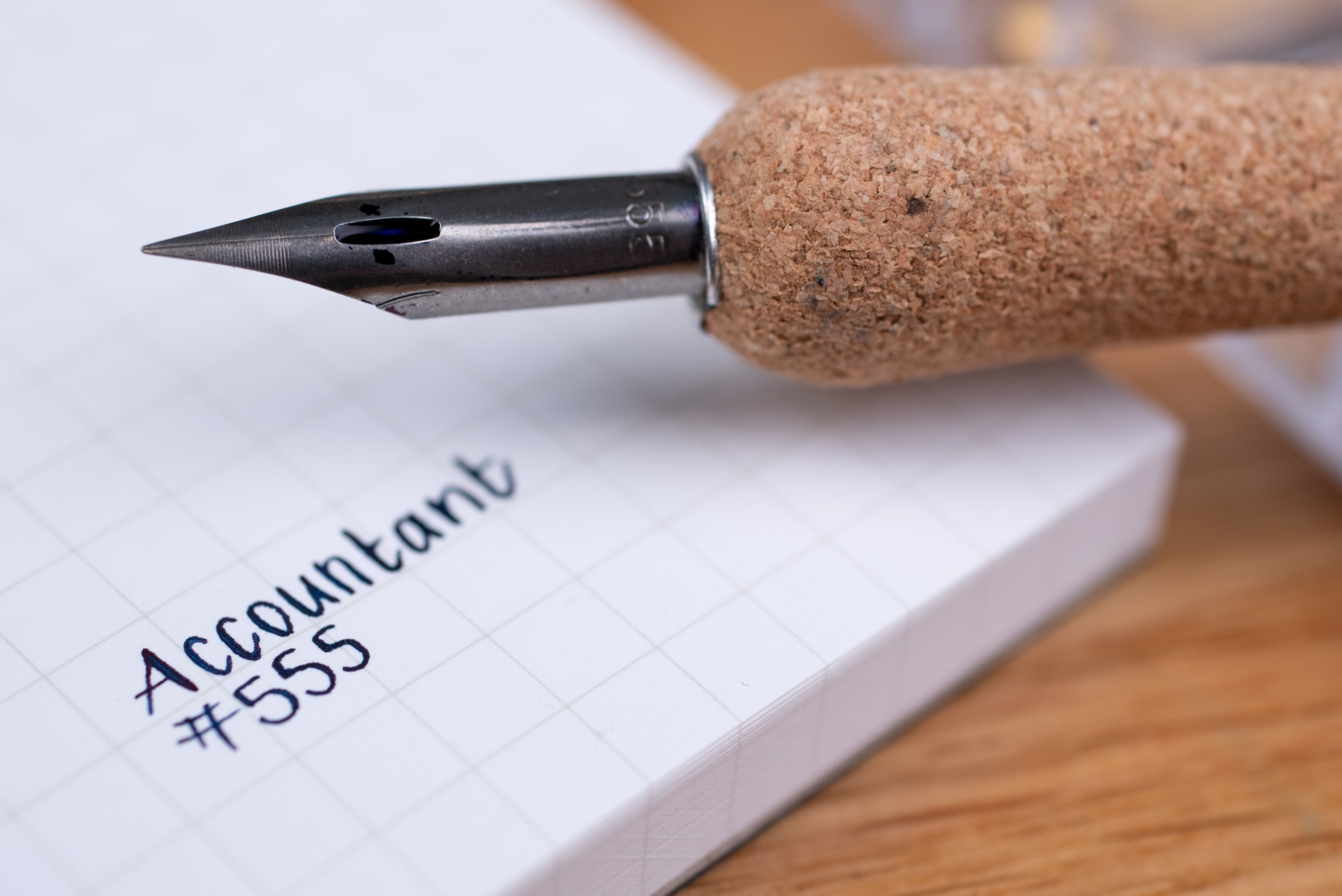 Esterbrook Accountant #555 Pen Nib (Vintage)