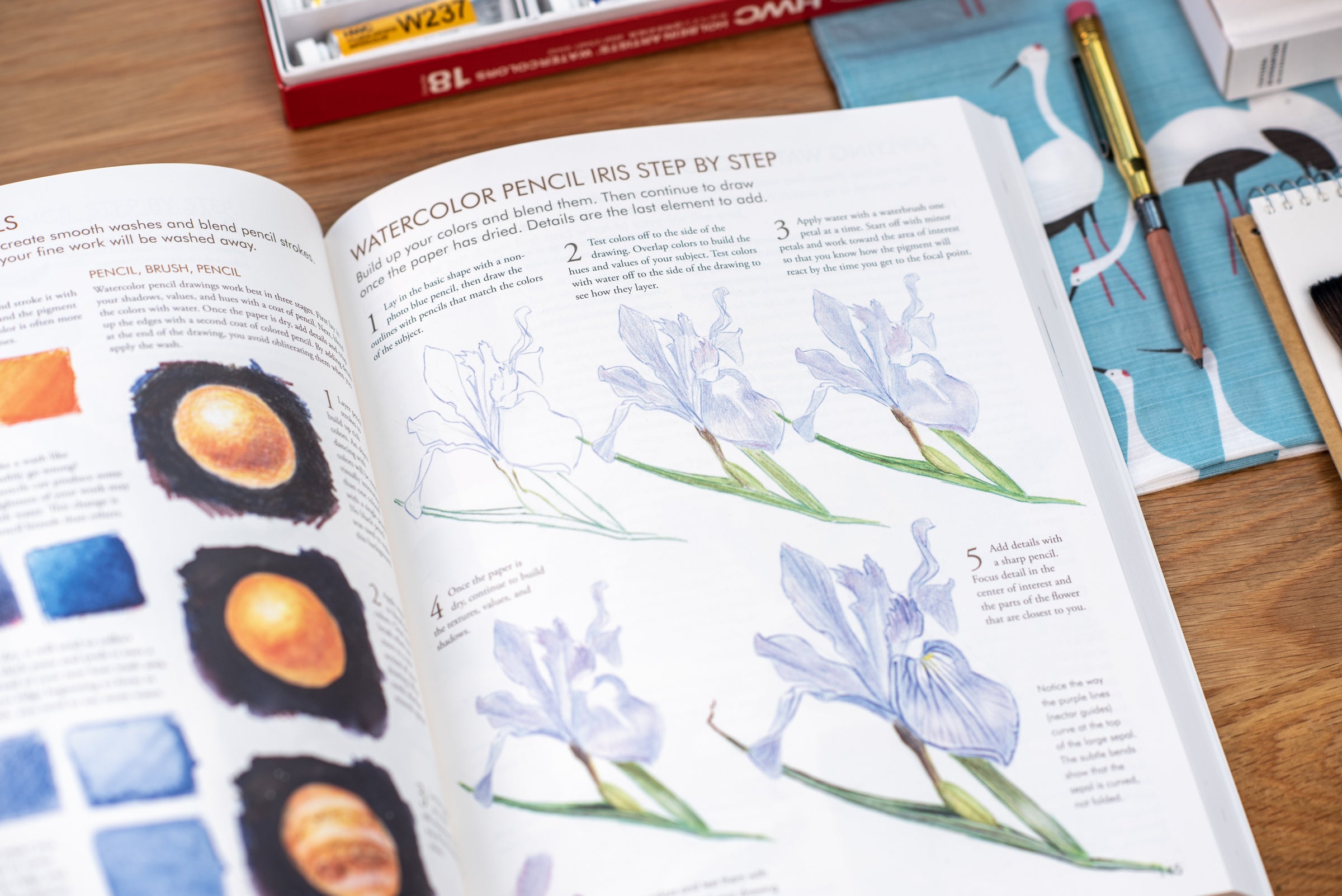 My FAVOURITE BOOK on DRAWING ever! The Laws Guide to Nature Drawing &  Journaling – Art Book Review 