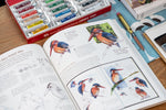 Heyday Books - The Laws Guide to Nature Drawing and Journaling - St. Louis Art Supply