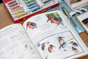 Choosing and Organizing Colored Pencils • John Muir Laws