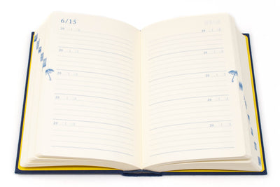 Midori - Ten Year Diary - St. Louis Art Supply