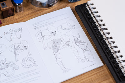 Morpho Anatomy Handbooks: Joint Forms and Muscular Functions