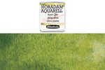 Schmincke - Supergranulation Watercolor Half Pan, #932 Shire Olive - St. Louis Art Supply