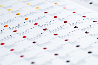 Schmincke - Horadam Watercolor Dot Card, 140 Colors - St. Louis Art Supply