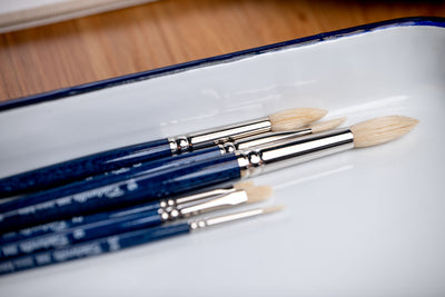 Setola Extra Short-Handled Bristle Brushes, Series 390 (Round)